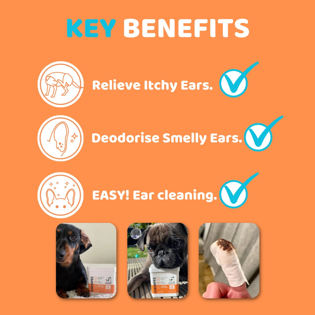 Our Dogs Life Dog Ear Wipes