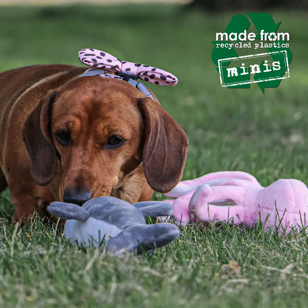 Ancol The Sea Mini Collection (Made from Recycled Plastic)