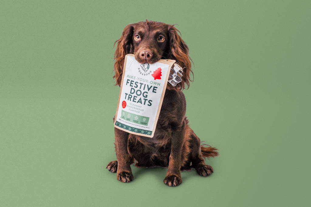 Dog & Bond Make your Own Festive Dog Treats