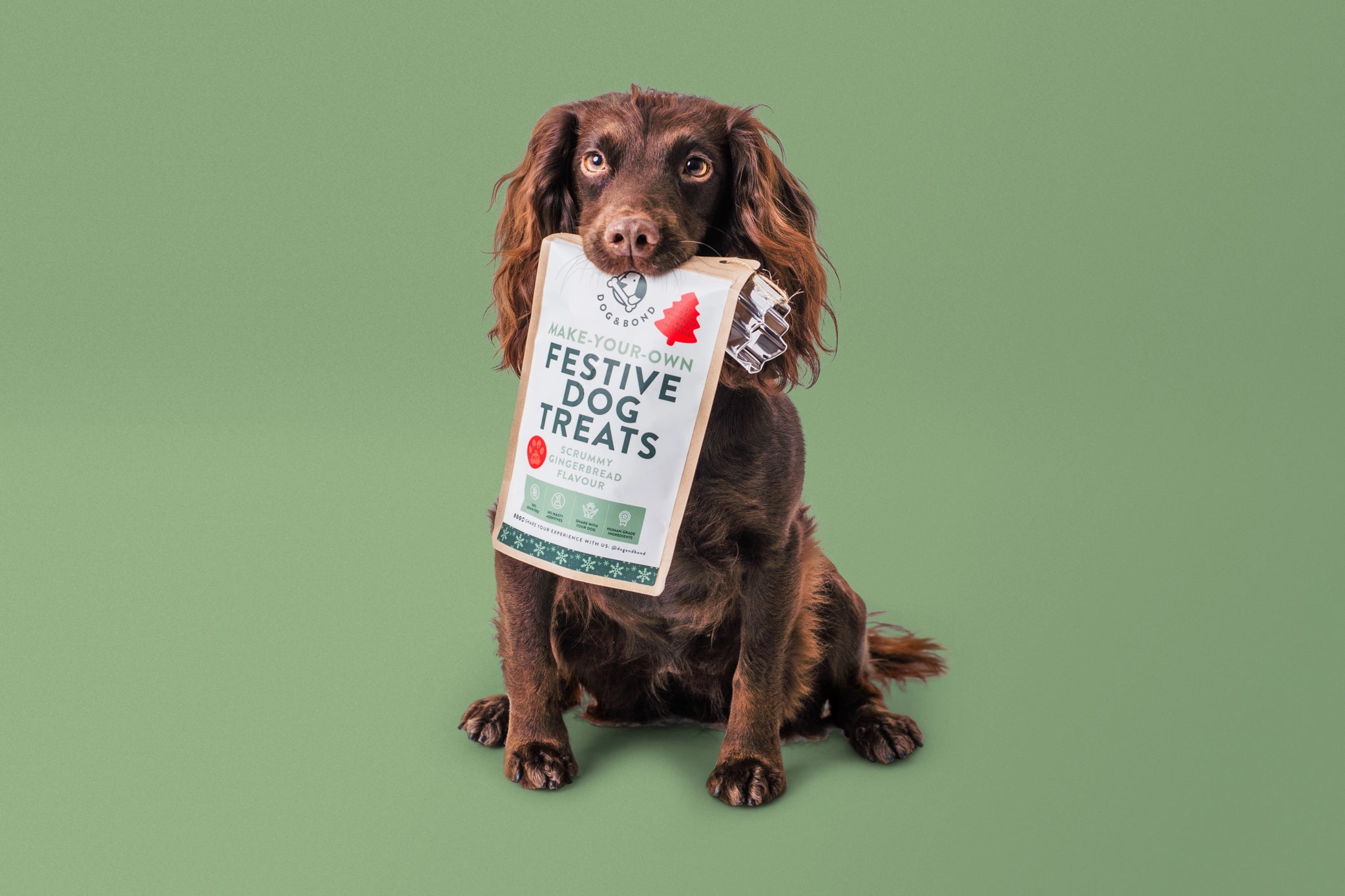 Dog & Bond Make your Own Festive Dog Treats