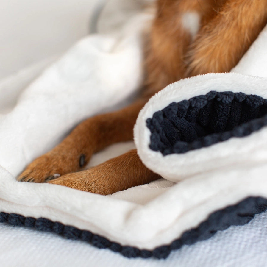 Lords and Labradors - Dog & Puppy Blanket in Navy Essentials Plush