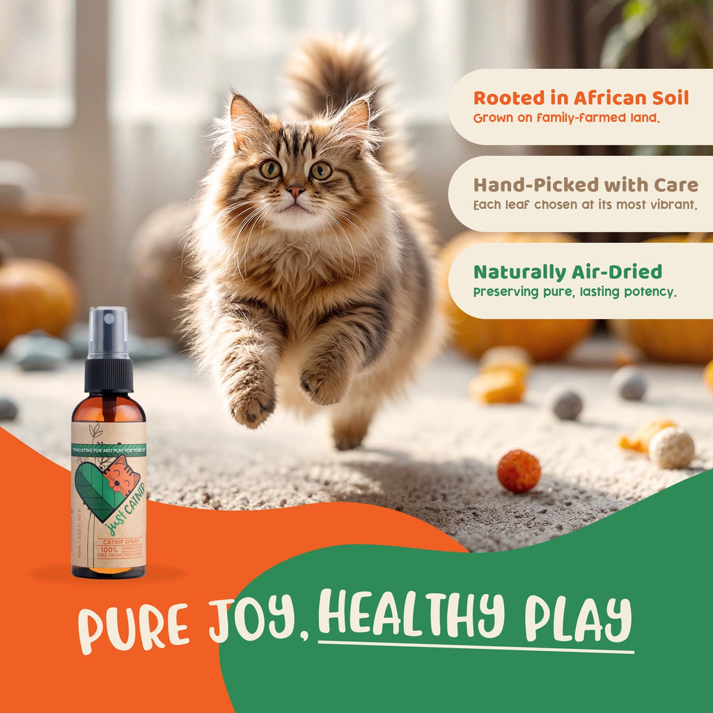Just Catnip - Organic Catnip Spray