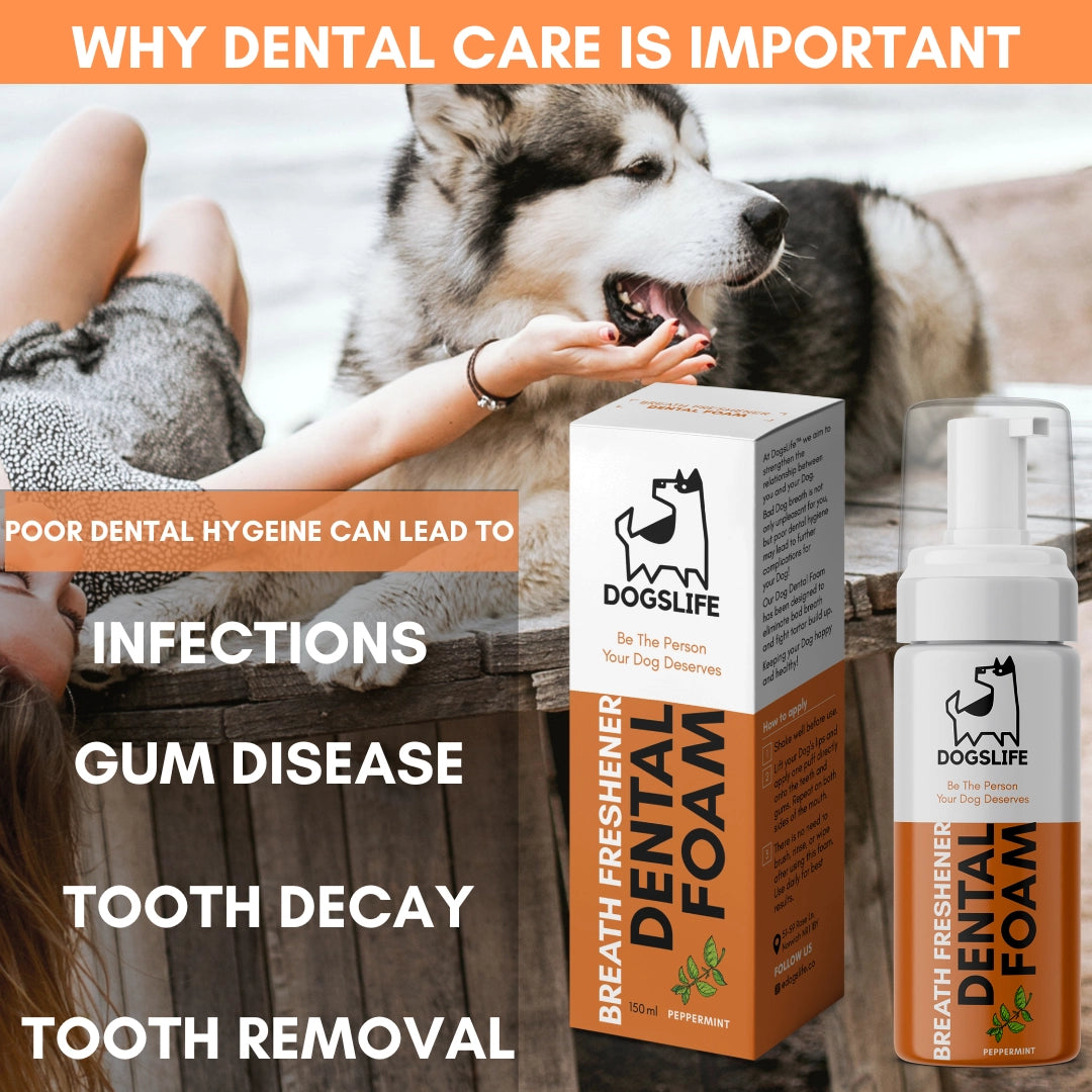Our Dogs Life Dental Foam