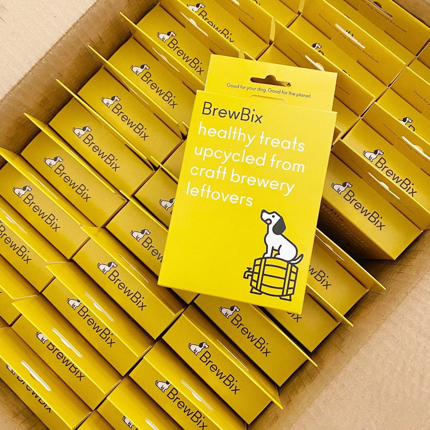 BrewBix Peanut Butter Dog Biscuit 100g