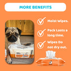 Our Dogs Life - Scented Dog Wipes