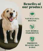 Hackney Dog House Natural Flea and Tick Powder For Dogs 200g