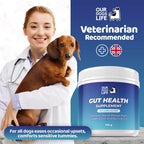 Our Dogs Life Gut Health Powder Supplement For Dogs