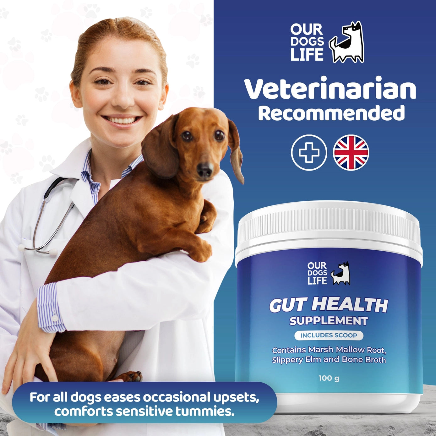 Our Dogs Life Gut Health Powder Supplement For Dogs