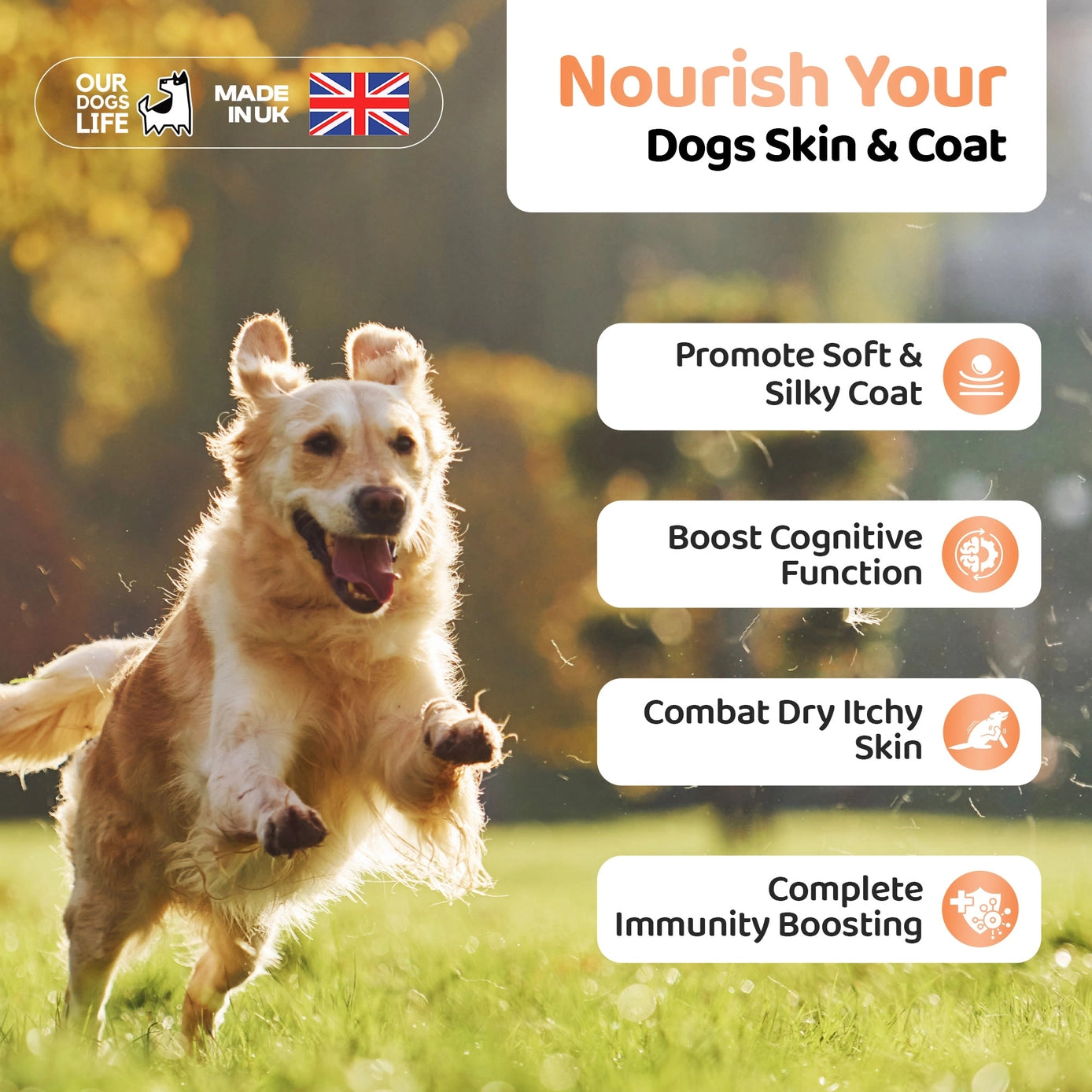 Our Dogs Life Salmon Oil for Dogs