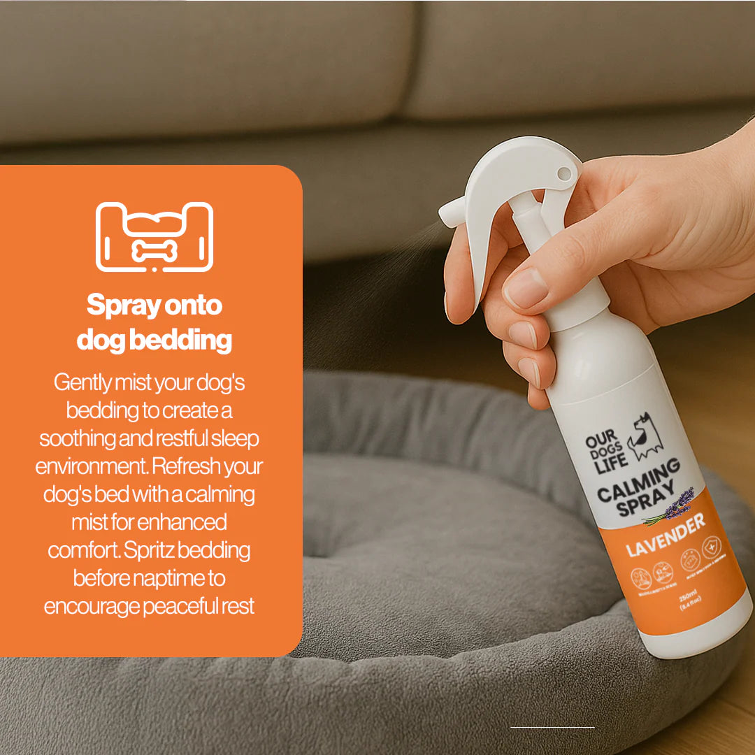 Our Dogs Life Calming Spray for Dogs