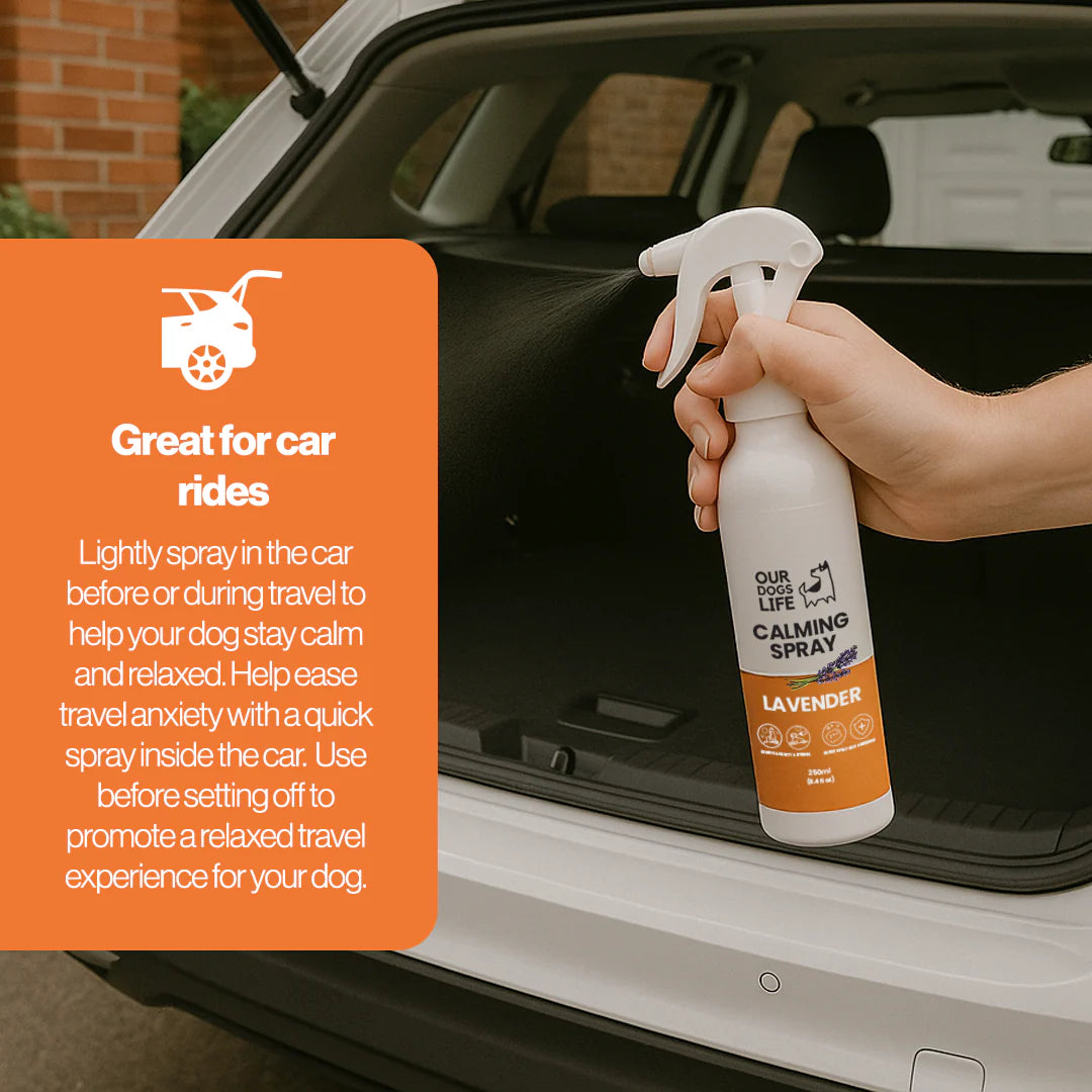 Our Dogs Life Calming Spray for Dogs