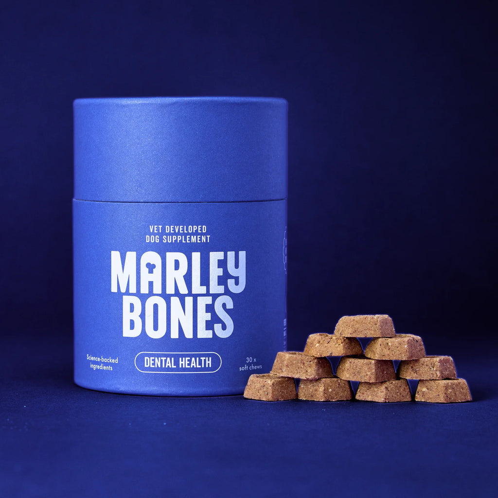Marley Bones Dental Health Supplement 90g
