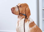 Earthbound - Rope Slip Lead Green