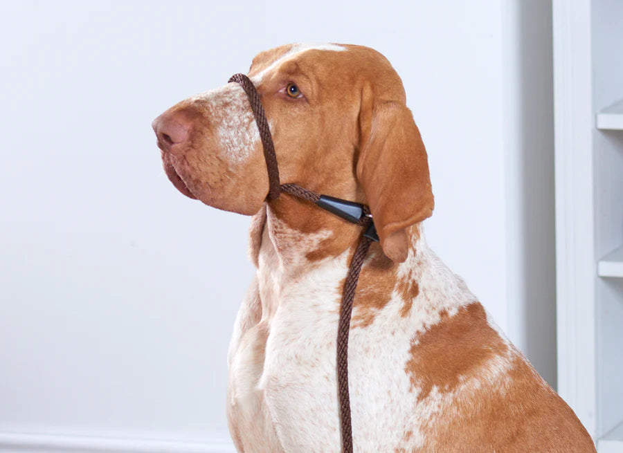 Earthbound - Rope Slip Lead Brown