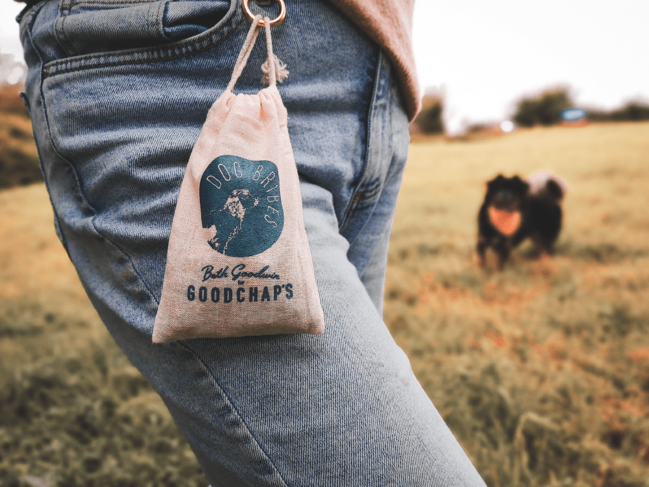 Goodchaps Treat Pouch with Clip