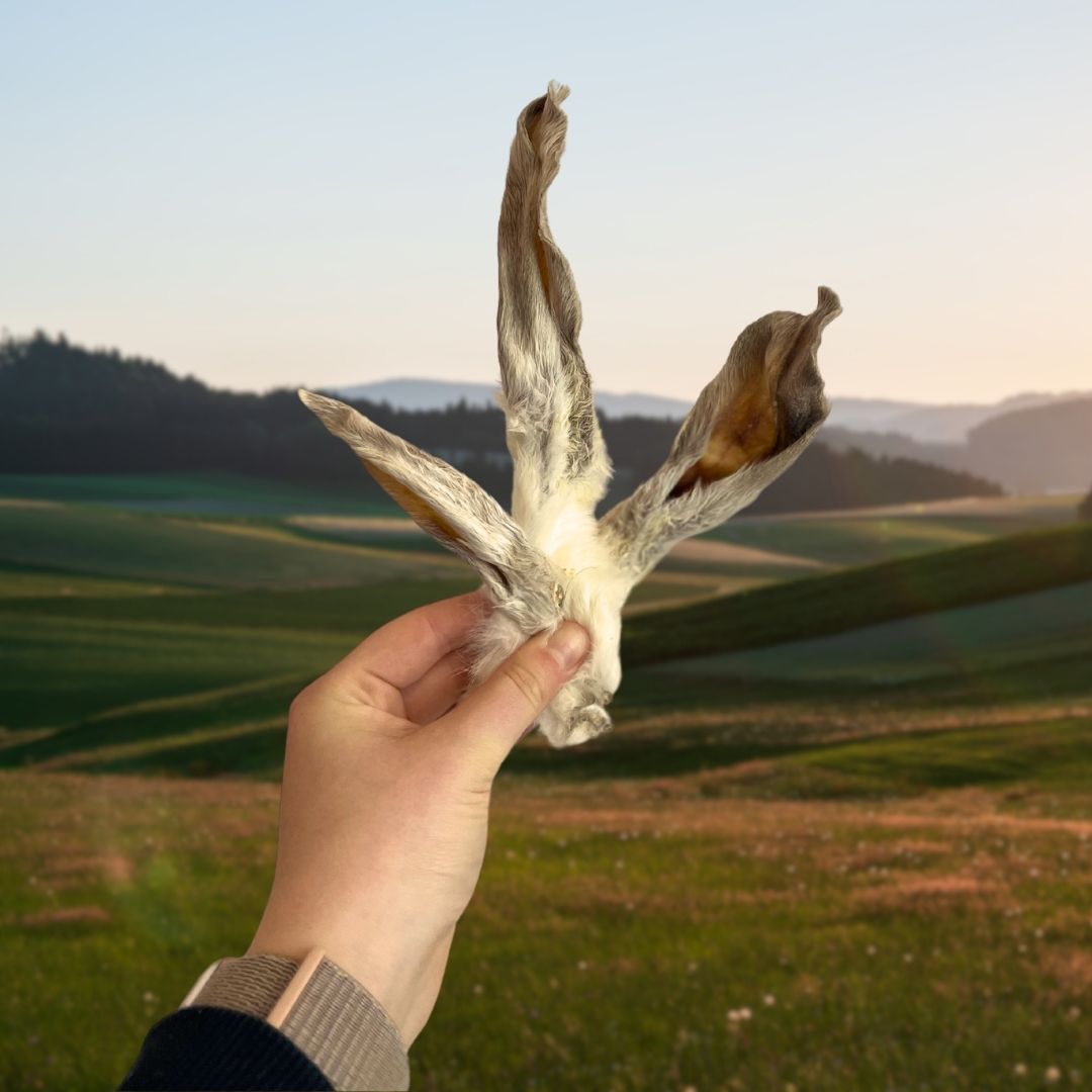 Paddock Farm Hairy Rabbit Ears 500g