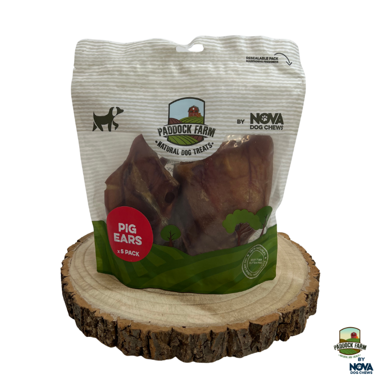 Pigs Ears - 5 pack