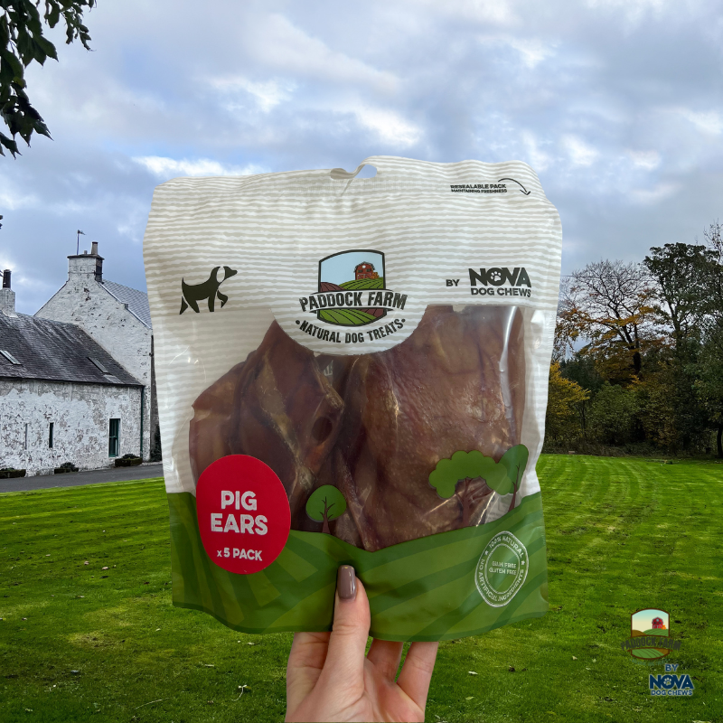 Pigs Ears - 5 pack