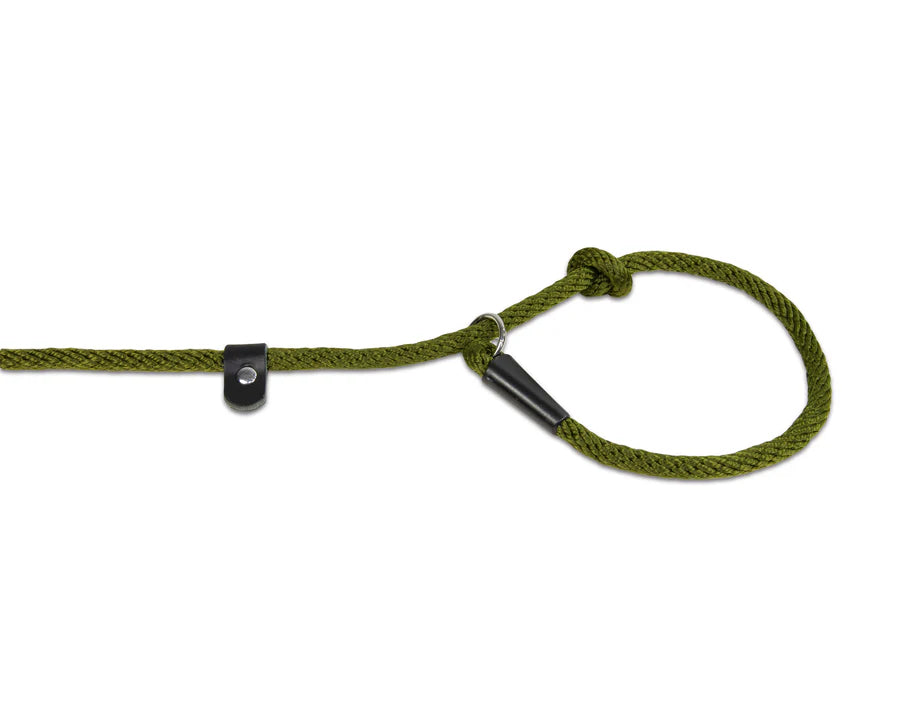 Earthbound - Rope Slip Lead Green