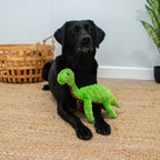 Lottie Loch Ness Monster
