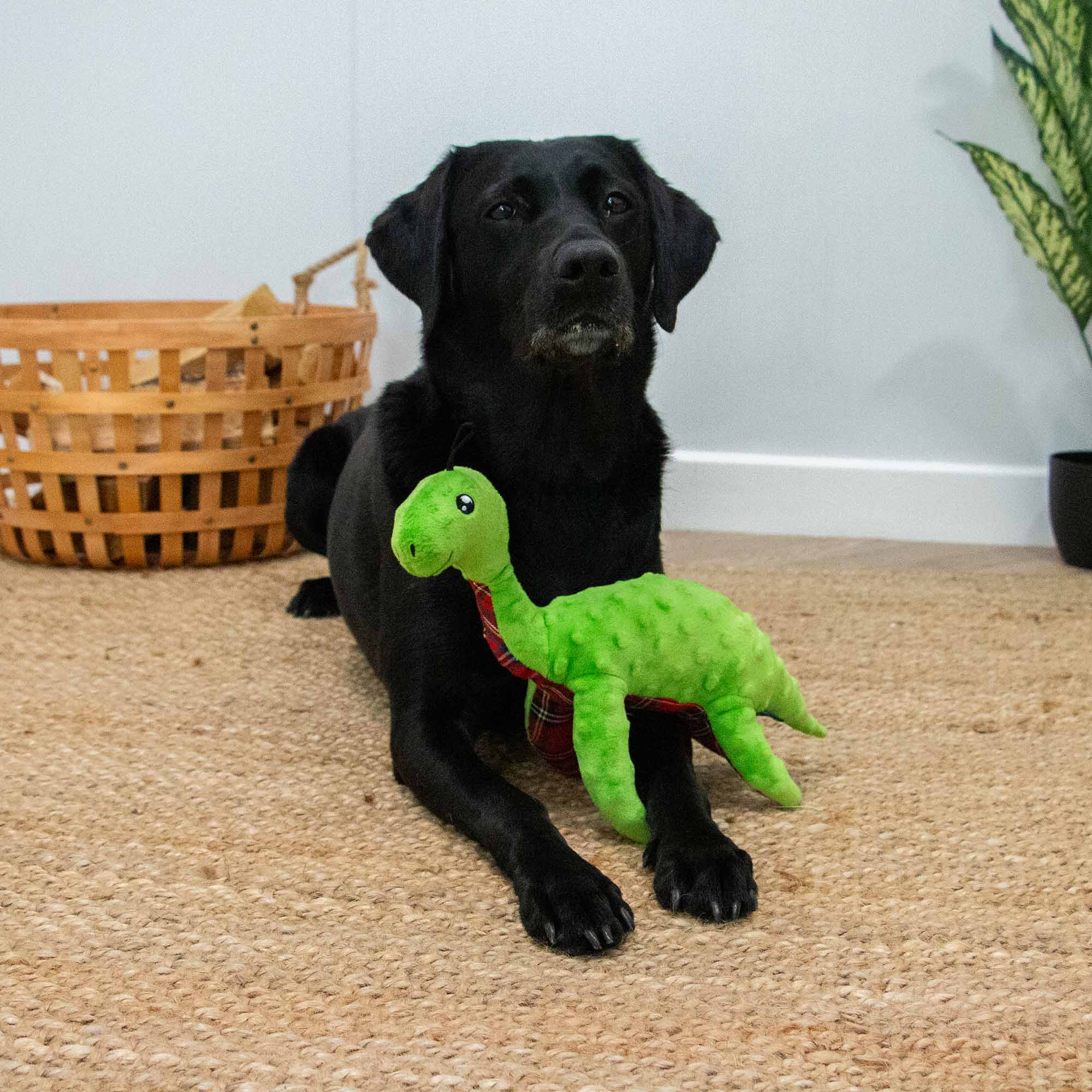 Lottie Loch Ness Monster
