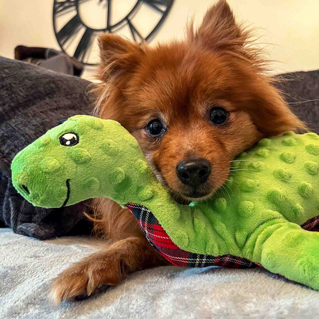 Lottie Loch Ness Monster