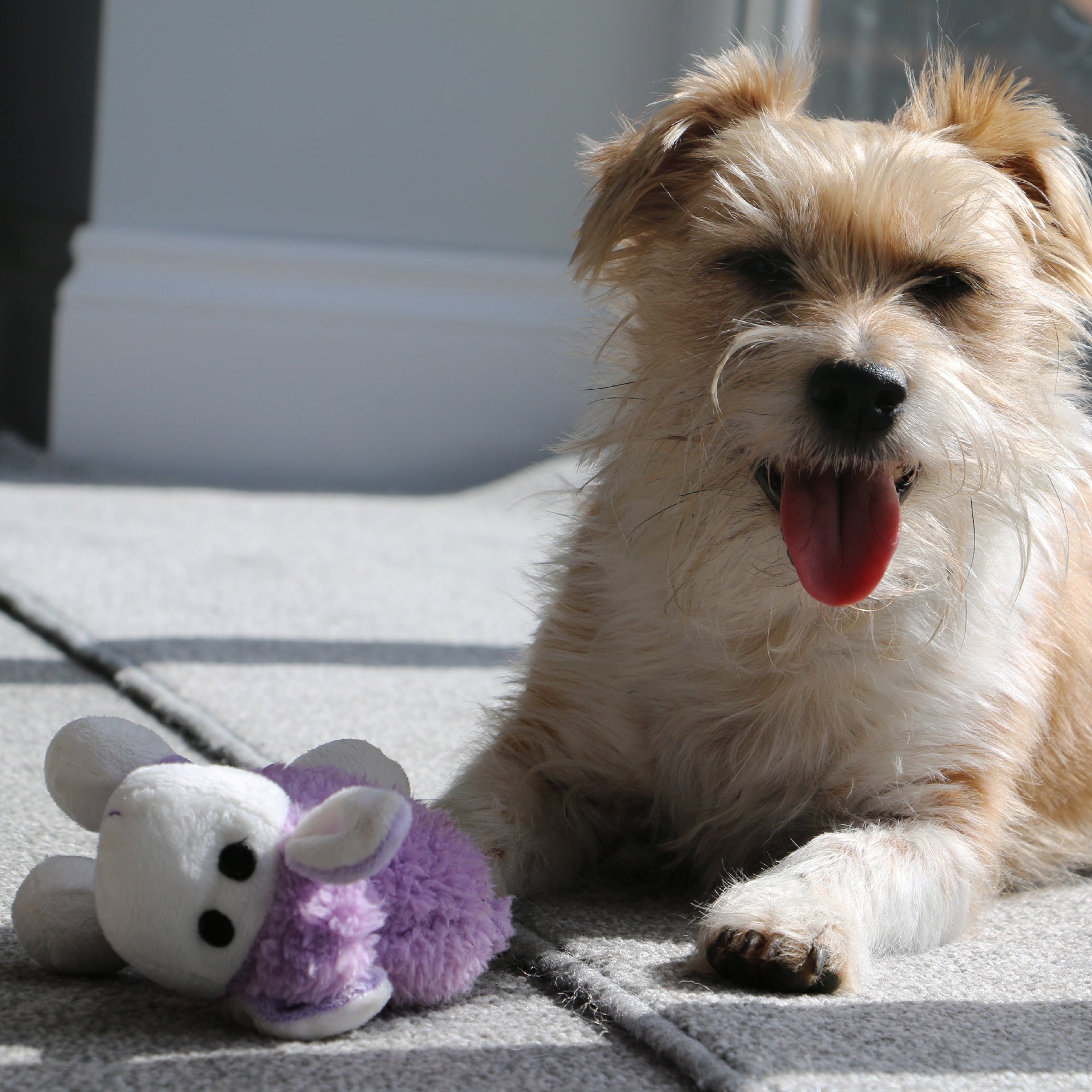 Small Bite Plush Lamb