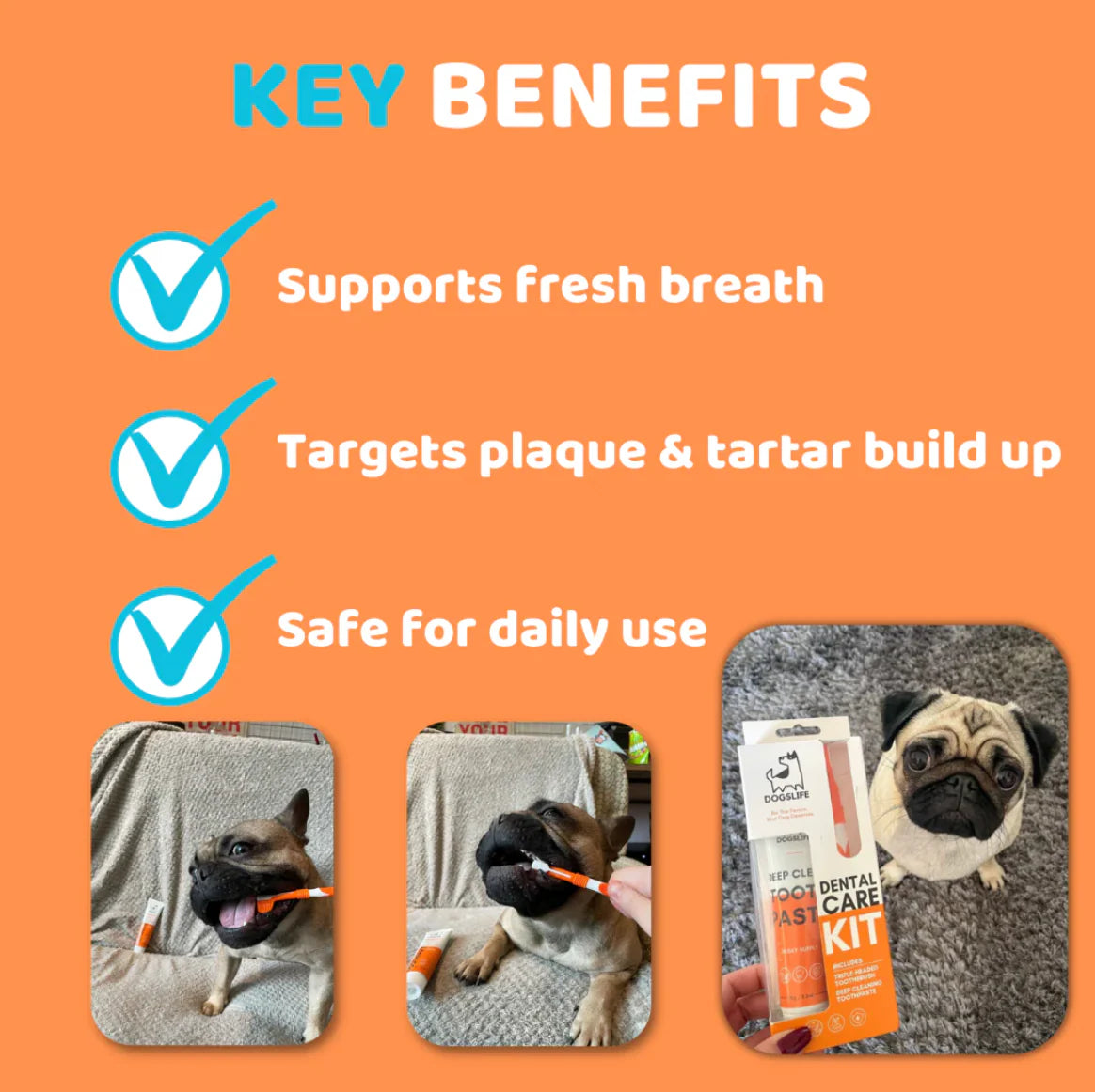 Our Dogs Life Dog Toothbrushes and Toothpaste