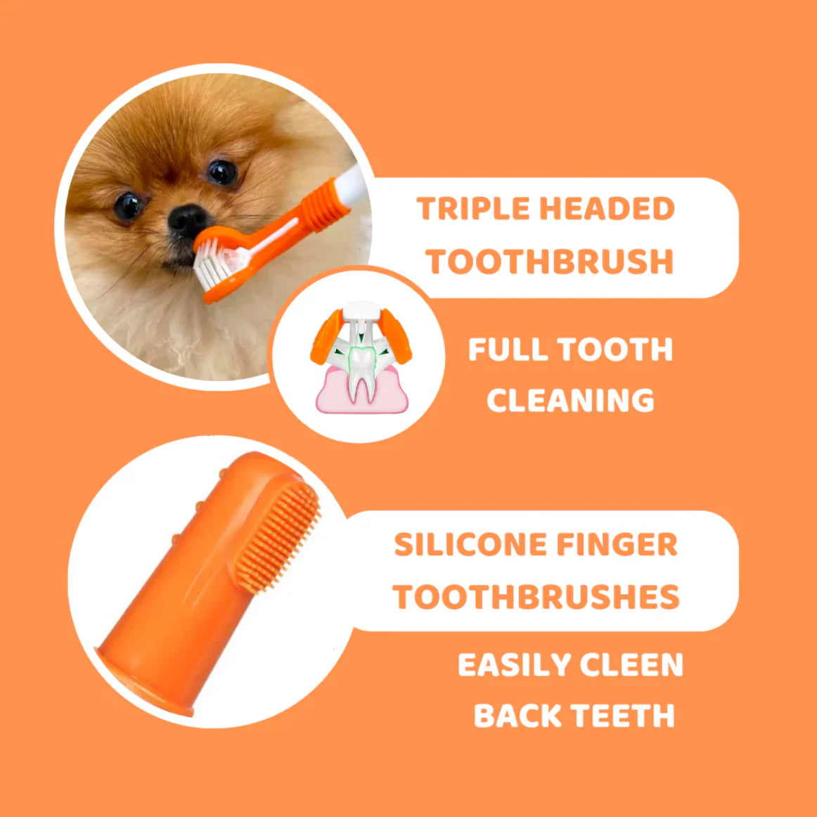 Our Dogs Life Dog Toothbrushes and Toothpaste