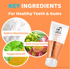 Our Dogs Life Dog Toothbrushes and Toothpaste