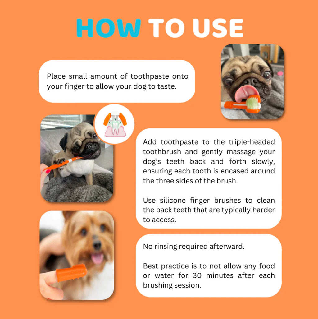 Our Dogs Life Dog Toothbrushes and Toothpaste