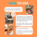 Our Dogs Life Dog Toothbrushes and Toothpaste