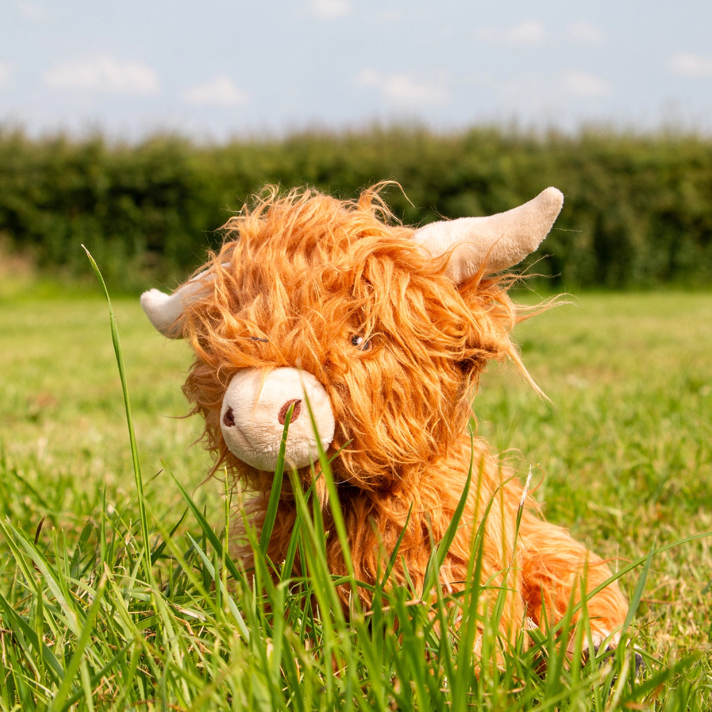 Ancol Heritage Collection Fergus the Highland Cow with Squeak