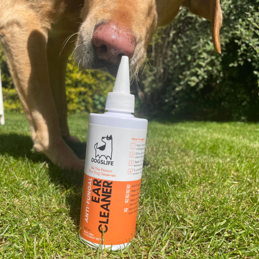 Our Dogs Life Anti-Fungal Ear Cleaner
