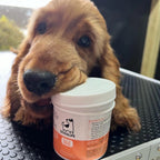 Our Dogs Life Eye Wipes For Dogs