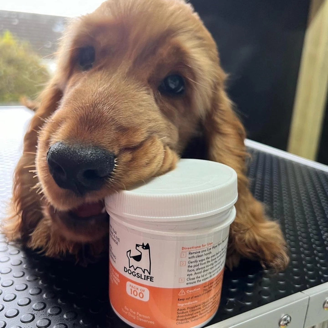 Our Dogs Life Eye Wipes For Dogs