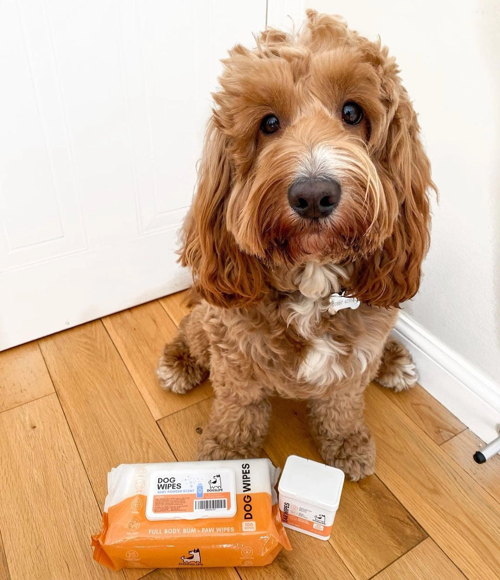 Our Dogs Life - Scented Dog Wipes