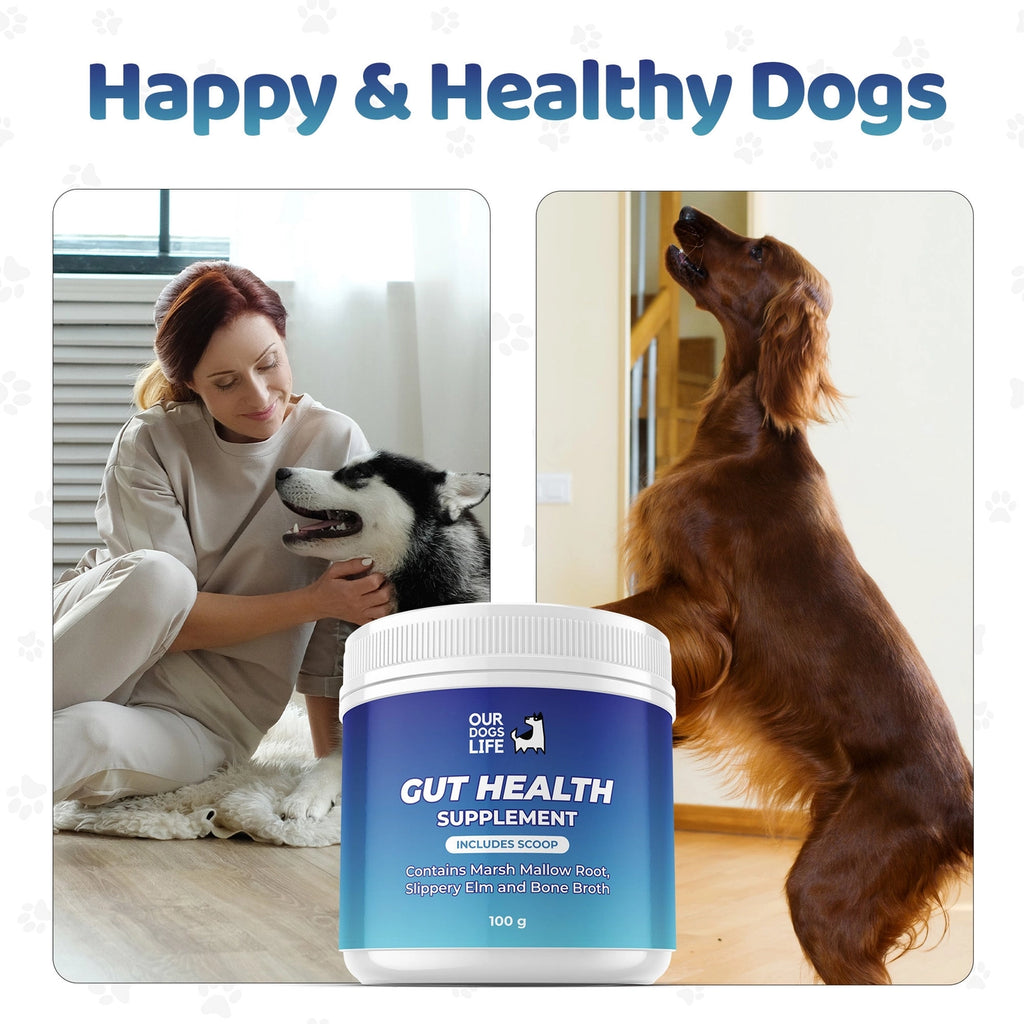 Our Dogs Life Gut Health Powder Supplement For Dogs