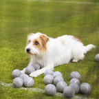 Lords and Labradors Super Bounce Tennis Balls 3 Pack