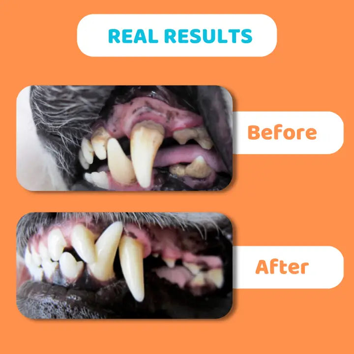 Our Dogs Life - Dog Teeth Cleaning Wipes