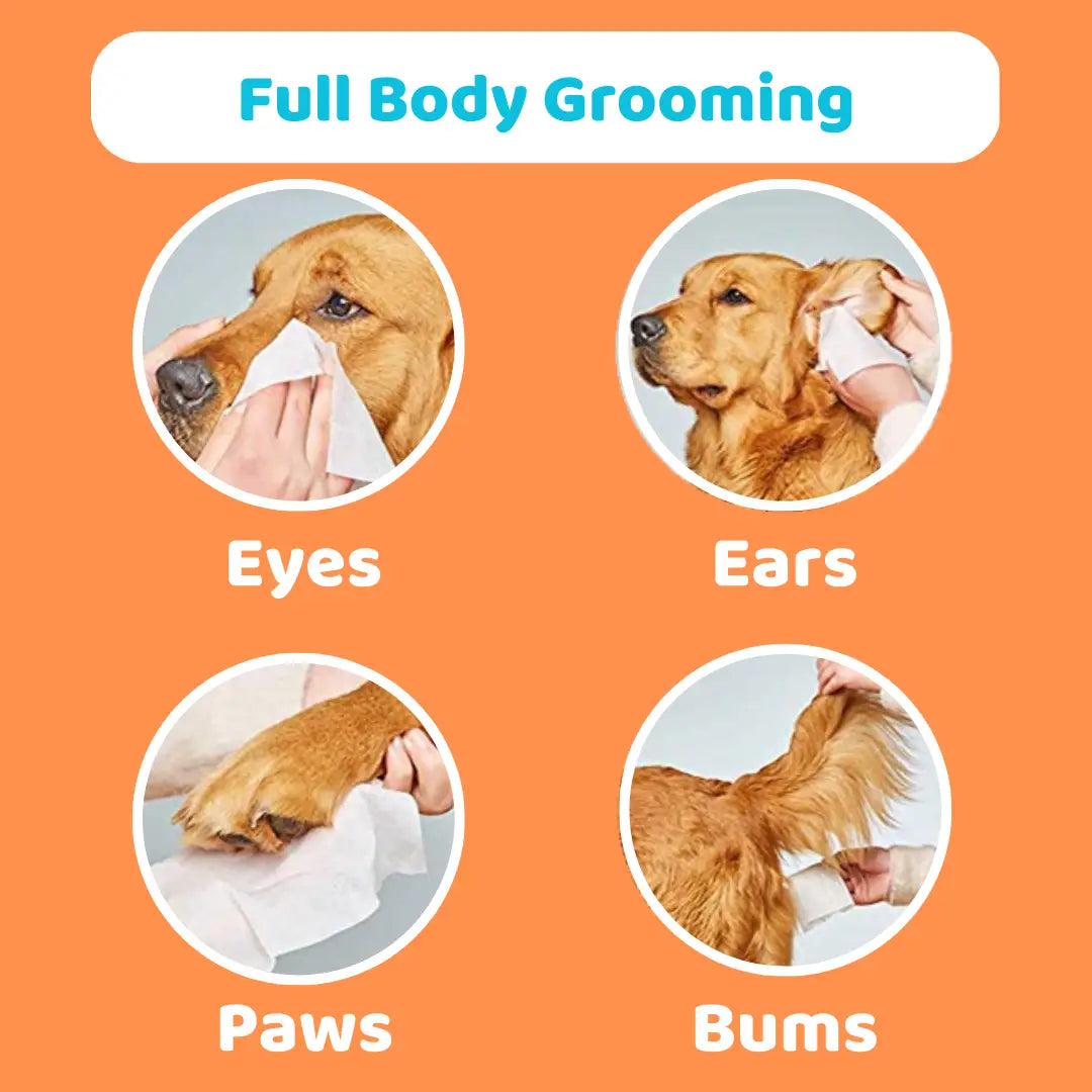 Our Dogs Life - Scented Dog Wipes