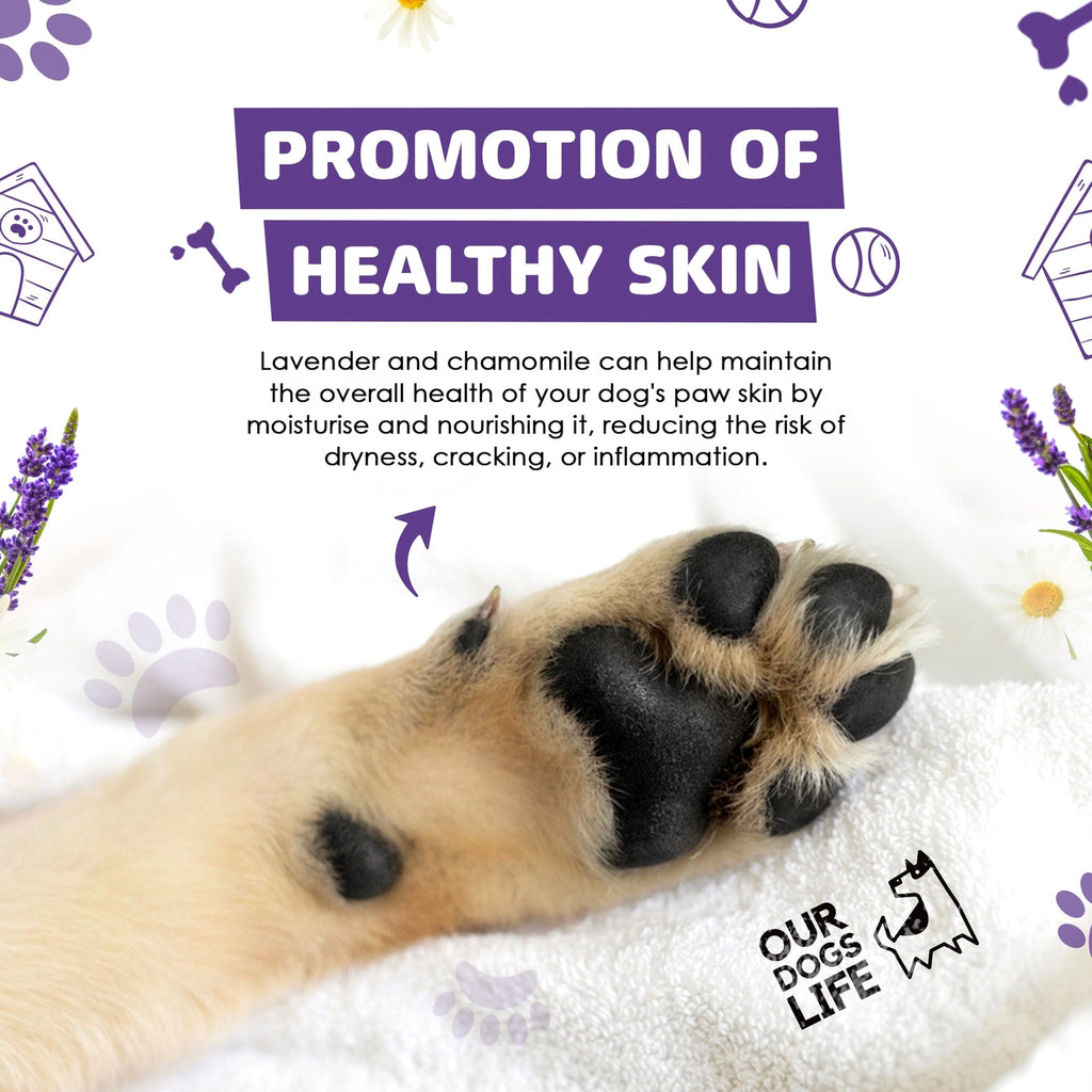 Our Dogs Life Paw Cleaner Shampoo with Towel