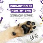 Our Dogs Life Paw Cleaner Shampoo with Towel