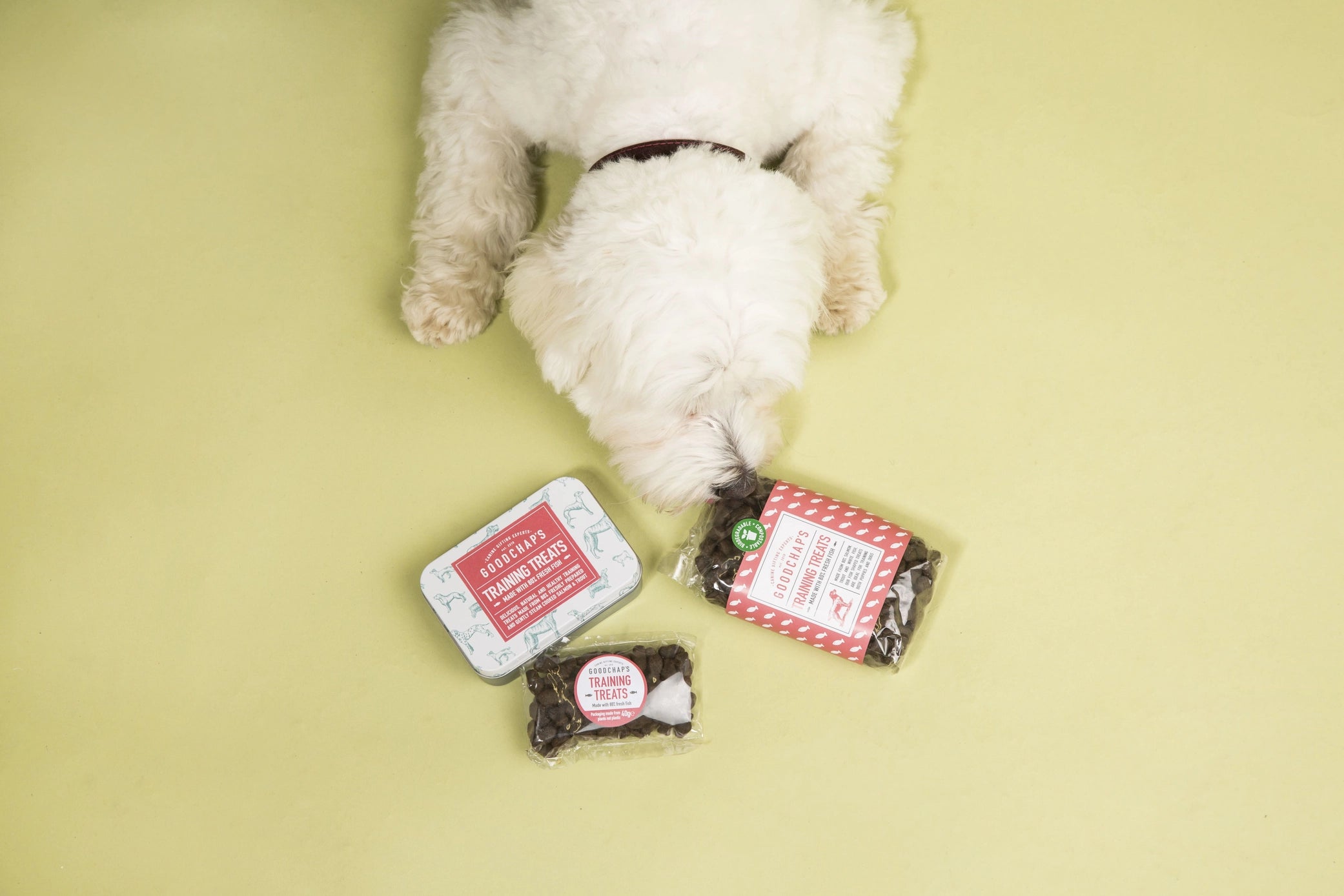 Goodchaps Fish Training Treats