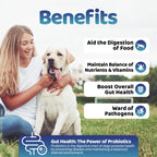 Our Dogs Life Gut Health Powder Supplement For Dogs