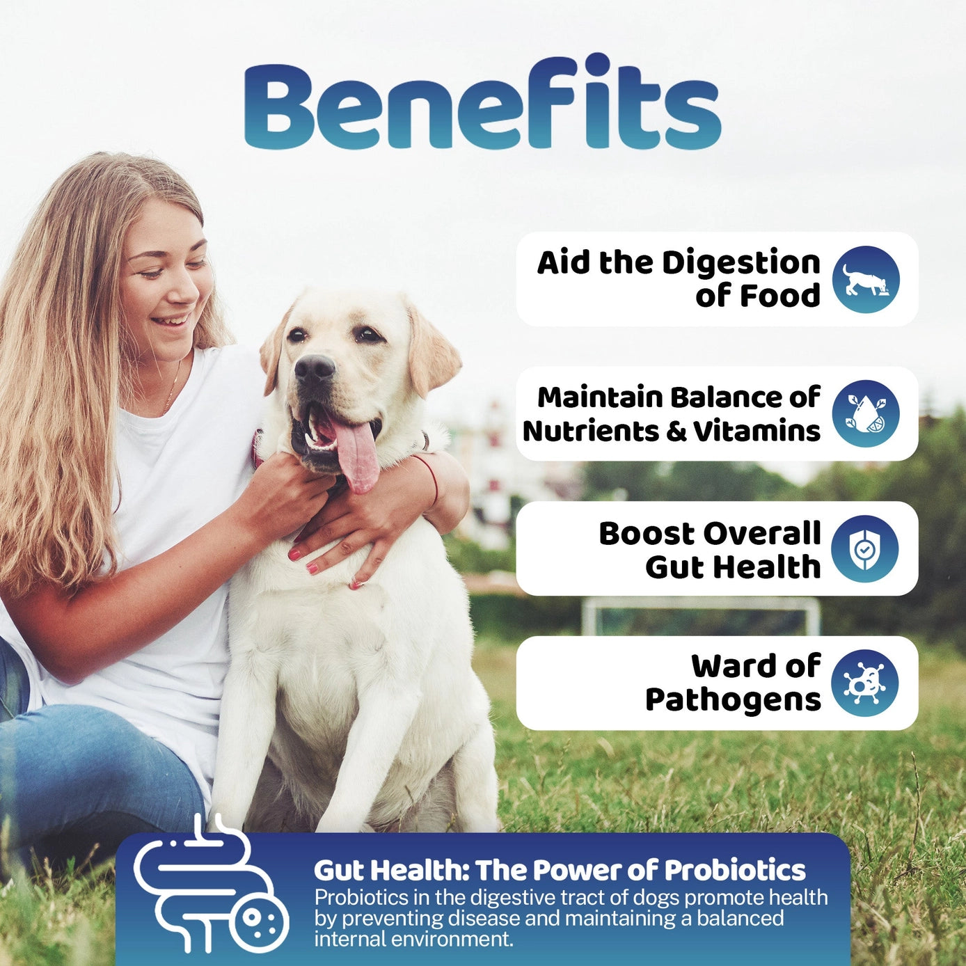 Our Dogs Life Gut Health Powder Supplement For Dogs