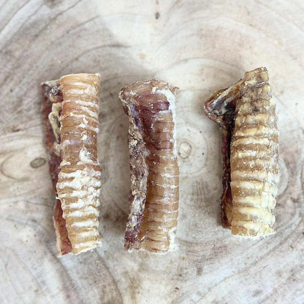 Beef Trachea 12cm - Single piece