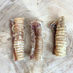 Beef Trachea 12cm - Single piece