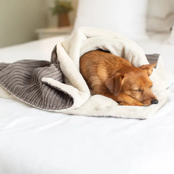 Lords & Labradors - Dog & Puppy Blanket in Dark Grey Essentials Plush