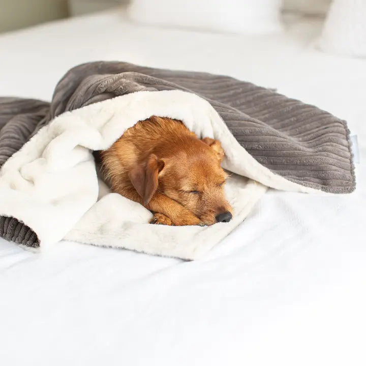 Lords & Labradors - Dog & Puppy Blanket in Dark Grey Essentials Plush